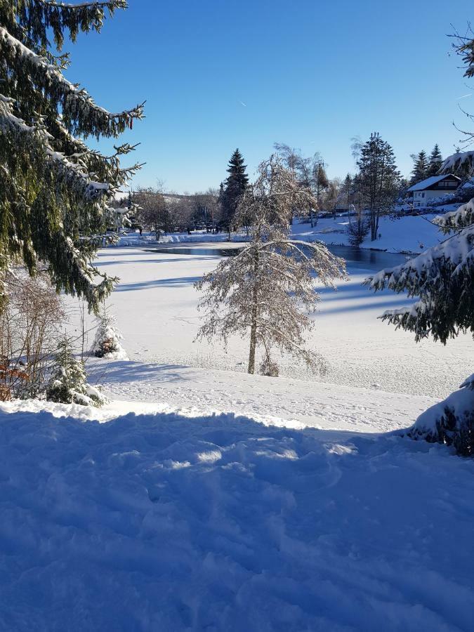 Ferienwohnung Jules Traum im Schwarzwald Herrischried Exterior foto