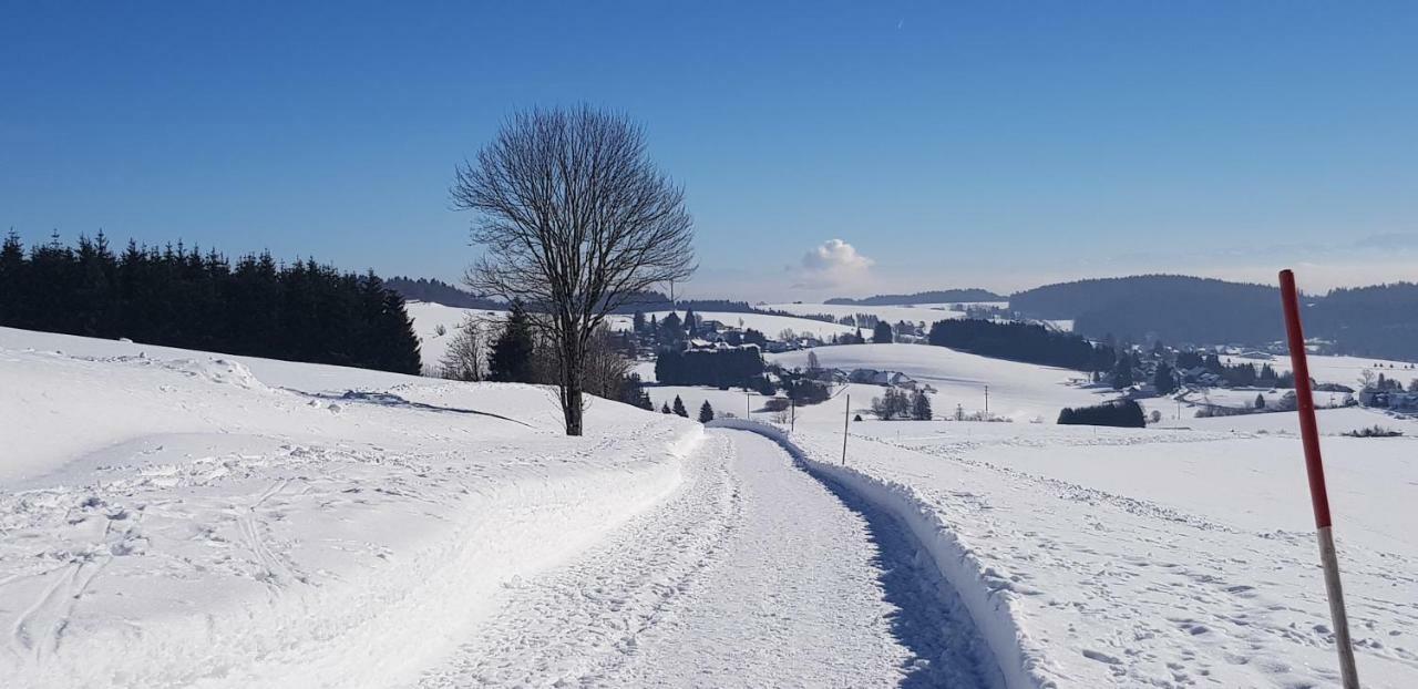 Ferienwohnung Jules Traum im Schwarzwald Herrischried Exterior foto